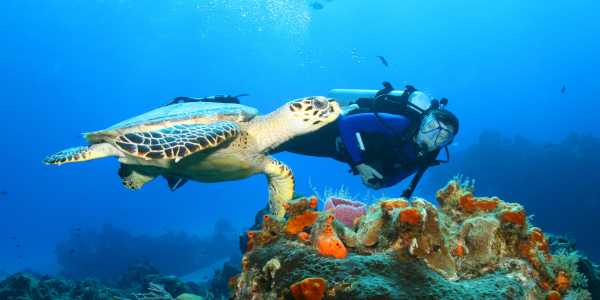 Ditch the Mexico Cruise Crowds with These Authentic Experiences in Cozumel