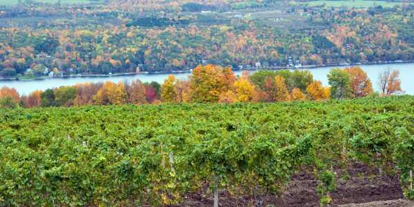 Peak Times to see Fall Foliage in the Northeast