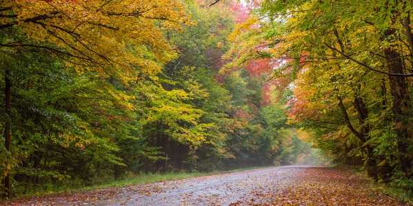 Our Favorite Destinations for Epic Fall Foliage