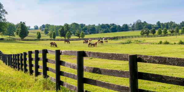Texas for Outdoorsy Types: Traditional Ranch to Beachfront