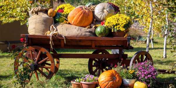 Where are the best fall festivals in the US