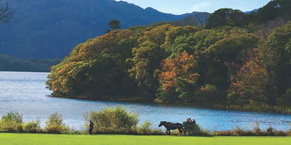 Escorted Tours