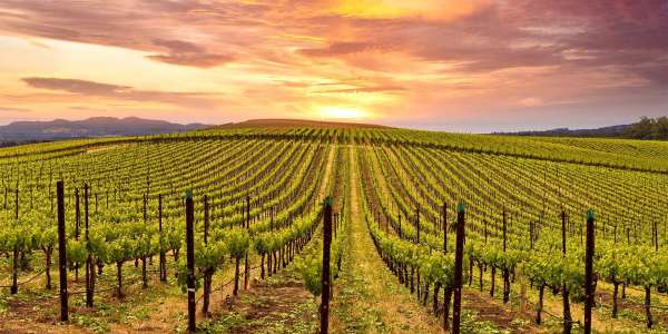 2-Nt Napa Valley Marriott Hotel & Spa | Up to 52% Off