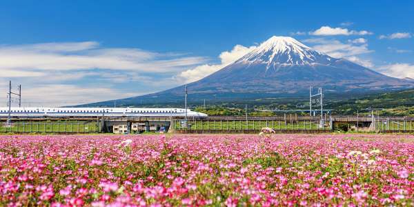 Asia Vacations