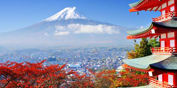 Escorted Tours