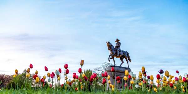 Dunhill Travel Deals
