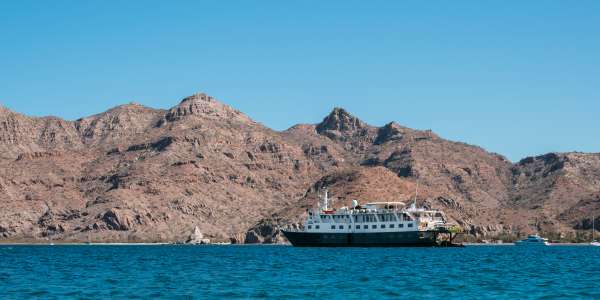 UnCruise Adventures