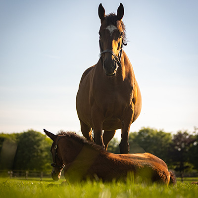 Up To 25% Off Admission Tickets