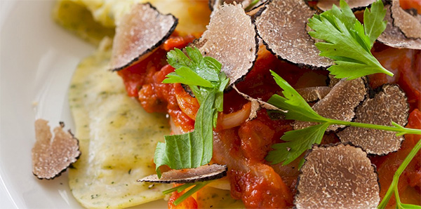 Tuscany Adventure Image